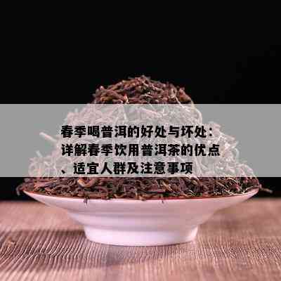 春季喝普洱的好处与坏处：详解春季饮用普洱茶的优点、适宜人群及注意事项