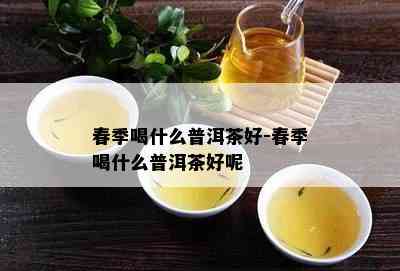 春季喝什么普洱茶好-春季喝什么普洱茶好呢