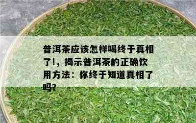 普洱茶应该怎样喝终于真相了!，揭示普洱茶的正确饮用方法：你终于知道真相了吗？