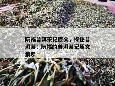 阮福普洱茶记原文，探秘普洱茶：阮福的普洱茶记原文解读