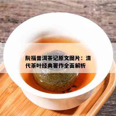 阮福普洱茶记原文图片：清代茶叶经典著作全面解析