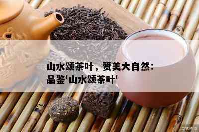 山水颂茶叶，赞美大自然：品鉴'山水颂茶叶'