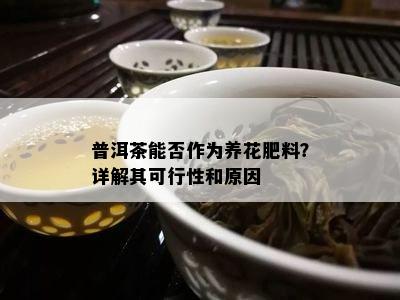 普洱茶能否作为养花肥料？详解其可行性和原因