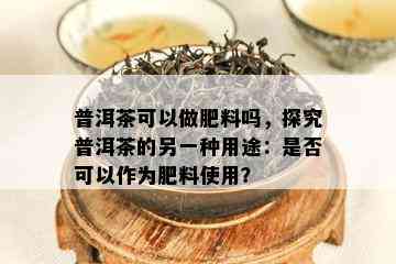 普洱茶可以做肥料吗，探究普洱茶的另一种用途：是否可以作为肥料使用？