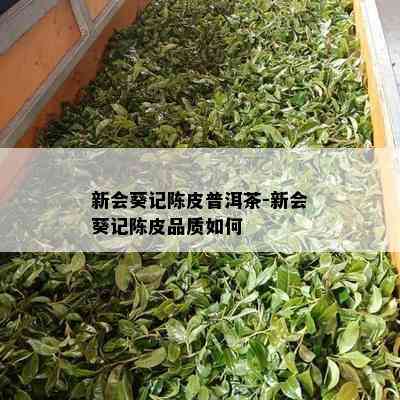 新会葵记陈皮普洱茶-新会葵记陈皮品质如何