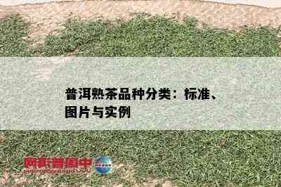 普洱熟茶品种分类：标准、图片与实例