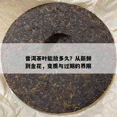 普洱茶叶能放多久？从新鲜到金花，变质与过期的界限