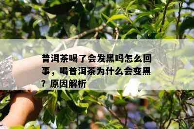 普洱茶喝了会发黑吗怎么回事，喝普洱茶为什么会变黑？原因解析