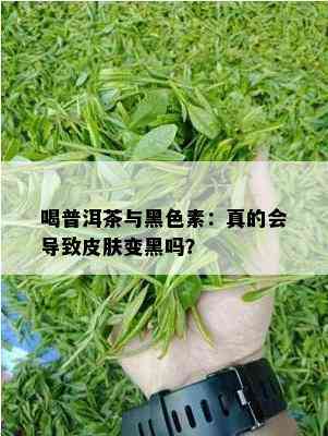 喝普洱茶与黑色素：真的会导致皮肤变黑吗？