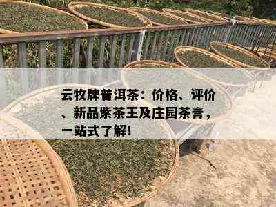 云牧牌普洱茶：价格、评价、新品紫茶王及庄园茶膏，一站式了解！