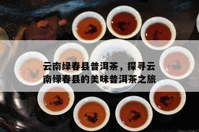 云南绿春县普洱茶，探寻云南绿春县的美味普洱茶之旅