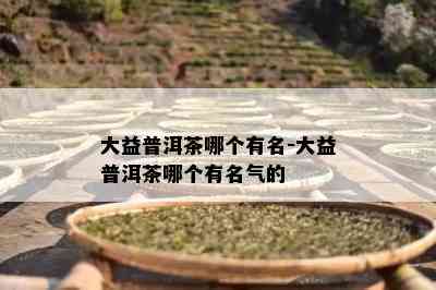 大益普洱茶哪个有名-大益普洱茶哪个有名气的