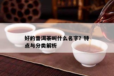 好的普洱茶叫什么名字？特点与分类解析