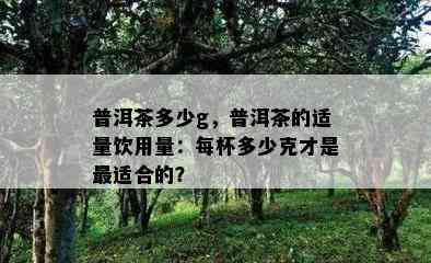 普洱茶多少g，普洱茶的适量饮用量：每杯多少克才是最适合的？