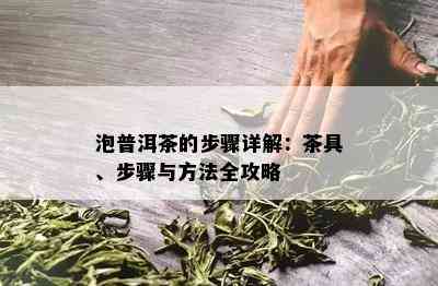 泡普洱茶的步骤详解：茶具、步骤与方法全攻略