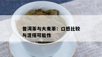 普洱茶与大麦茶：口感比较与混搭可能性