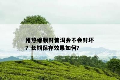 用热缩膜封普洱会不会封坏？长期保存效果如何？