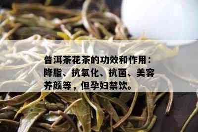 普洱茶花茶的功效和作用：降脂、抗氧化、抗菌、美容养颜等，但孕妇禁饮。