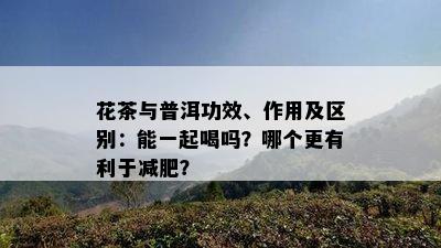 花茶与普洱功效、作用及区别：能一起喝吗？哪个更有利于减肥？