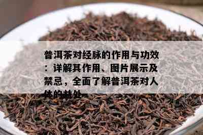 普洱茶对经脉的作用与功效：详解其作用、图片展示及禁忌，全面了解普洱茶对人体的益处