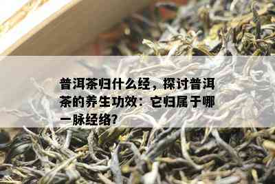 普洱茶归什么经，探讨普洱茶的养生功效：它归属于哪一脉经络？