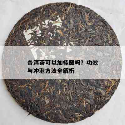 普洱茶可以加桂圆吗？功效与冲泡方法全解析