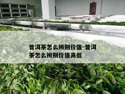 普洱茶怎么辨别价值-普洱茶怎么辨别价值高低