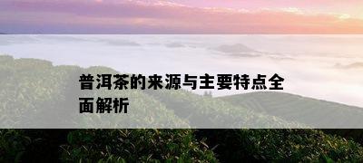 普洱茶的来源与主要特点全面解析