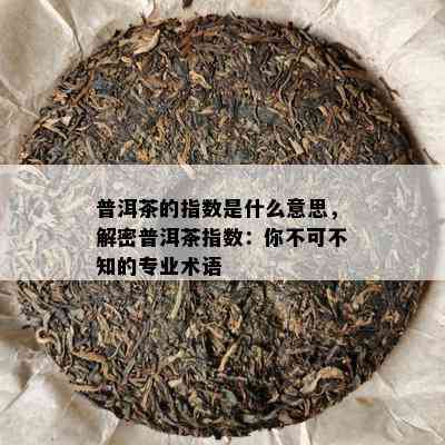 普洱茶的指数是什么意思，解密普洱茶指数：你不可不知的专业术语