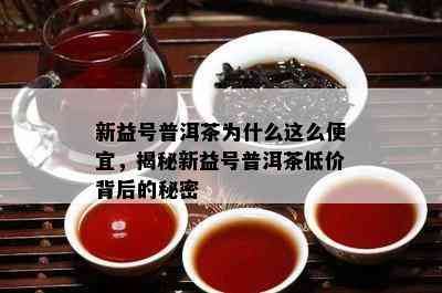 新益号普洱茶为什么这么便宜，揭秘新益号普洱茶低价背后的秘密