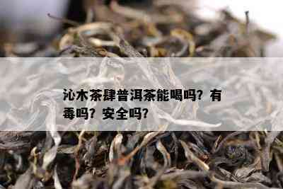 沁木茶肆普洱茶能喝吗？有吗？安全吗？