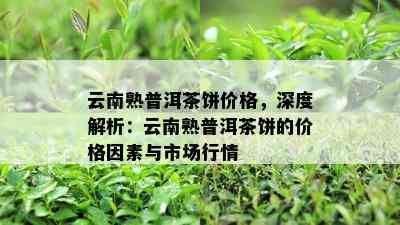 云南熟普洱茶饼价格，深度解析：云南熟普洱茶饼的价格因素与市场行情