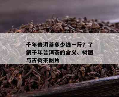 千年普洱茶多少钱一斤？了解千年普洱茶的含义、树图与古树茶图片