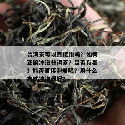 普洱茶可以直接泡吗？如何正确冲泡普洱茶？是否有？能否直接泡着喝？用什么方式冲泡更好？