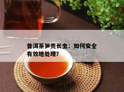 普洱茶笋壳长虫：如何安全有效地处理？