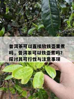 普洱茶可以直接放铁壶里煮吗，普洱茶可以铁壶煮吗？探讨其可行性与注意事项