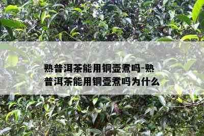 熟普洱茶能用铜壶煮吗-熟普洱茶能用铜壶煮吗为什么