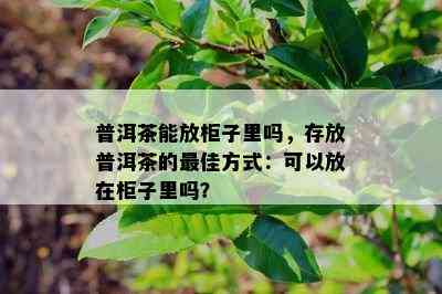 普洱茶能放柜子里吗，存放普洱茶的更佳方式：可以放在柜子里吗？