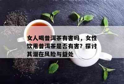 女人喝普洱茶有害吗，女性饮用普洱茶是否有害？探讨其潜在风险与益处