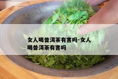 女人喝普洱茶有害吗-女人喝普洱茶有害吗