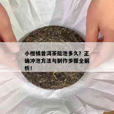 小柑橘普洱茶能泡多久？正确冲泡方法与制作步骤全解析！