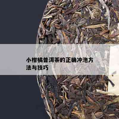 小柑橘普洱茶的正确冲泡方法与技巧