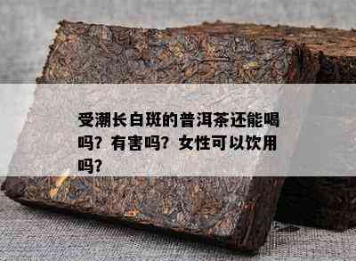 受潮长白斑的普洱茶还能喝吗？有害吗？女性可以饮用吗？