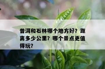 普洱和石林哪个地方好？距离多少公里？哪个景点更值得玩？