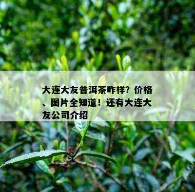 大连大友普洱茶咋样？价格、图片全知道！还有大连大友公司介绍