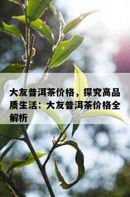 大友普洱茶价格，探究高品质生活：大友普洱茶价格全解析