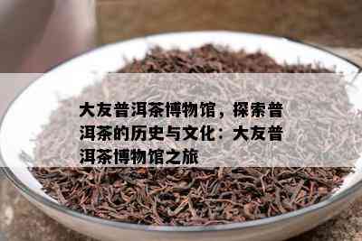 大友普洱茶博物馆，探索普洱茶的历史与文化：大友普洱茶博物馆之旅