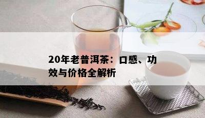 20年老普洱茶：口感、功效与价格全解析