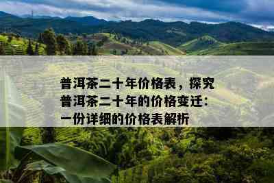 普洱茶二十年价格表，探究普洱茶二十年的价格变迁：一份详细的价格表解析