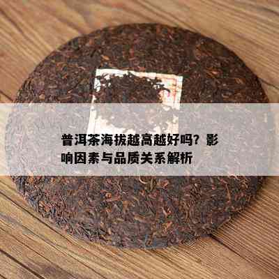 普洱茶海拔越高越好吗？影响因素与品质关系解析